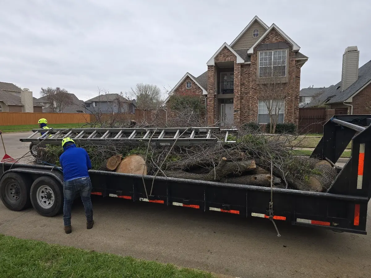 Expert Tree Fertilization with proper safety equipment in Paramus
